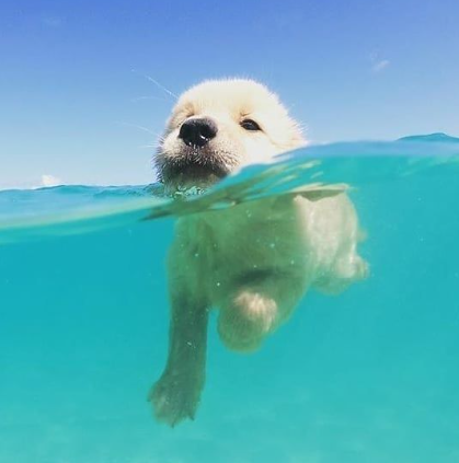 Sea