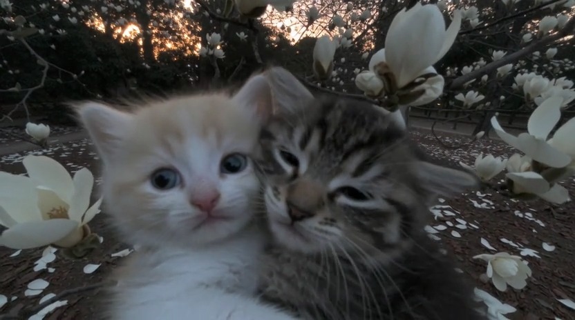 TOGETHER