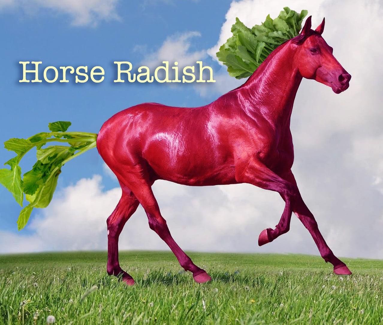RADISH