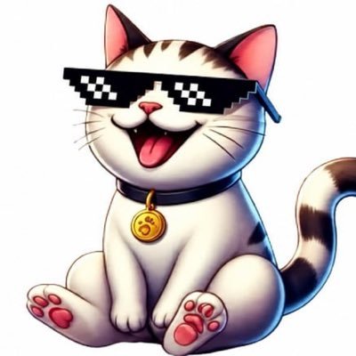 CatFi