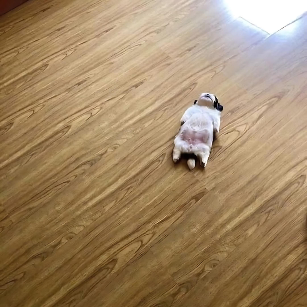 SLEEPi
