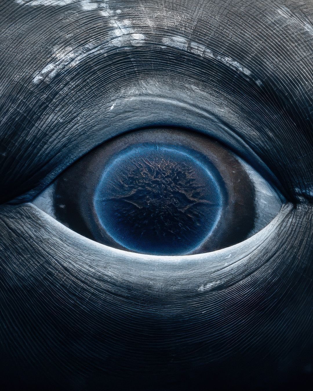 EYE