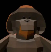 SAN