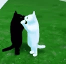BFF