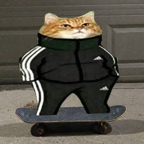 Slav
