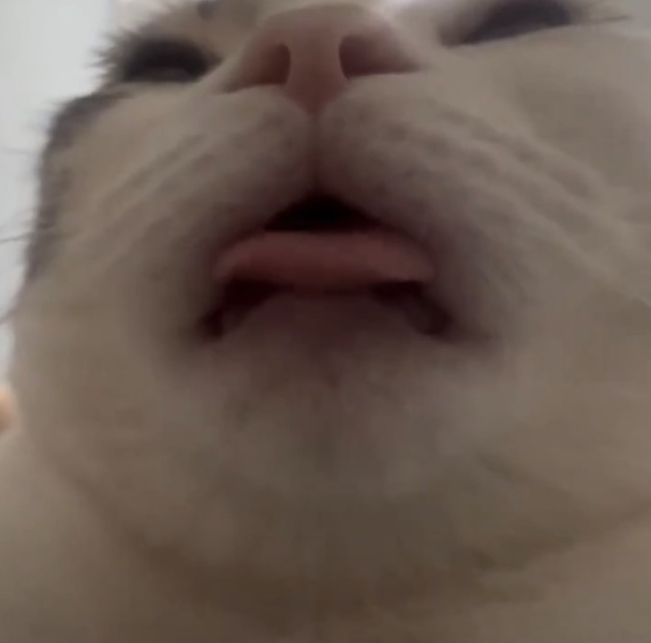 Licking