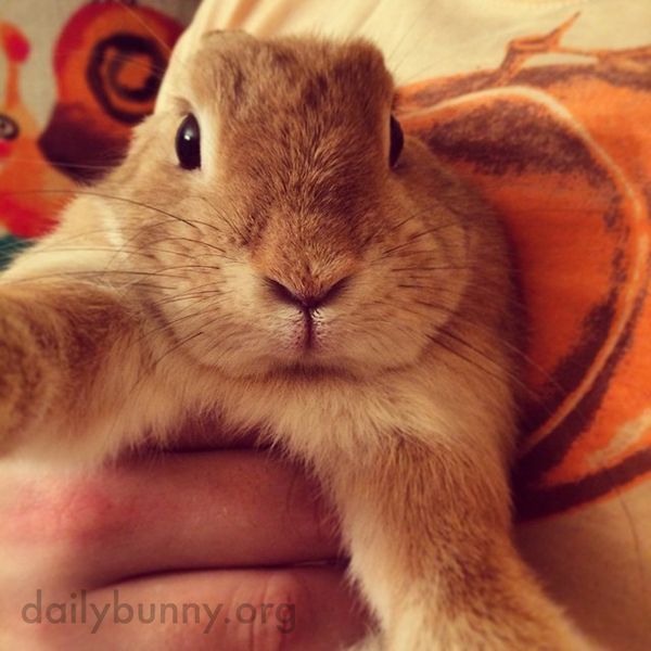 BunSelfie