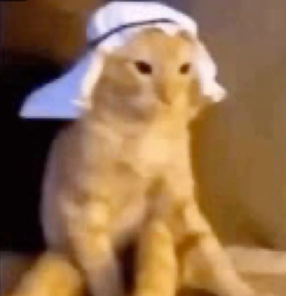 Meowshallah logo
