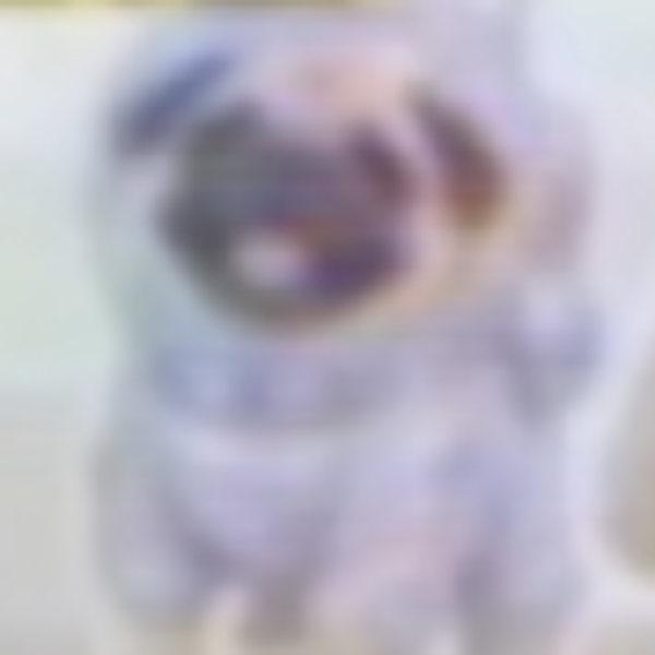SPACEINU