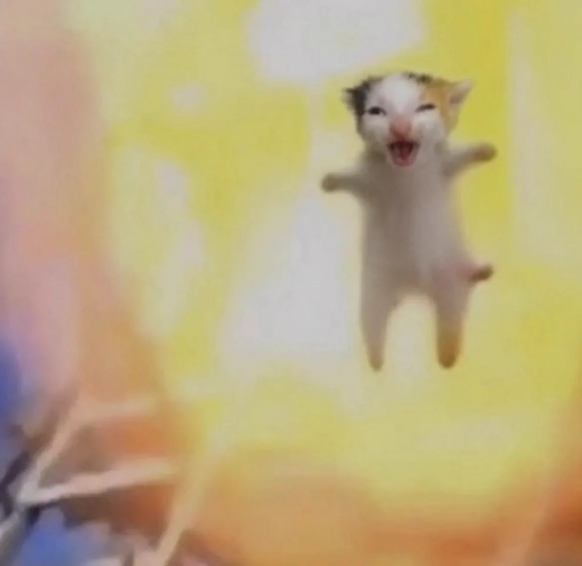 Ecat