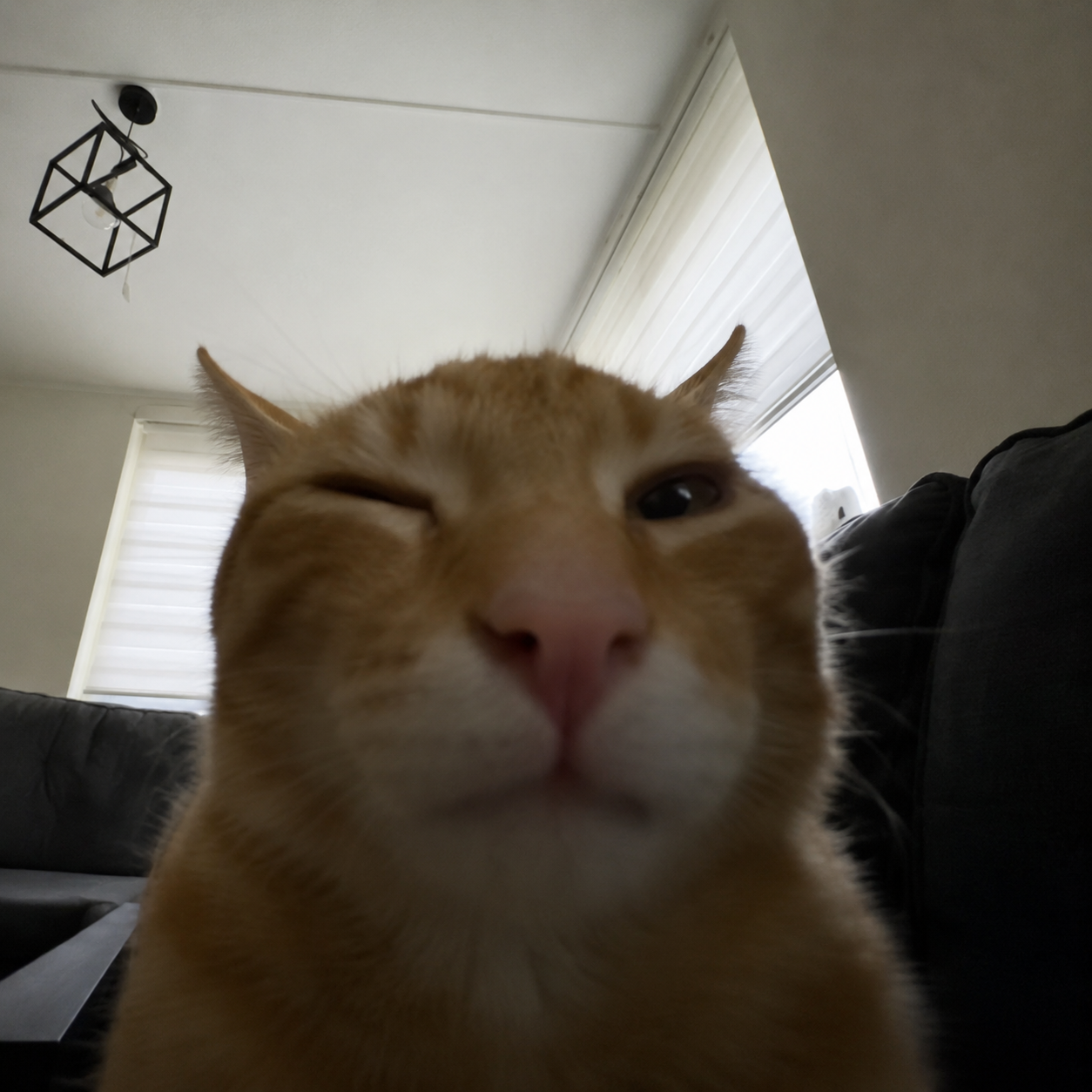 buh