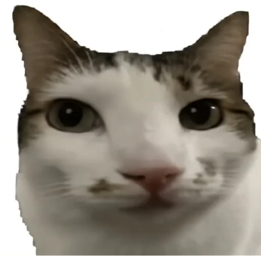 nomcat
