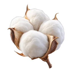 COTTON