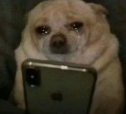 CryDog