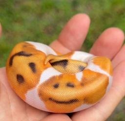 :)