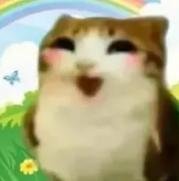 Caowl
