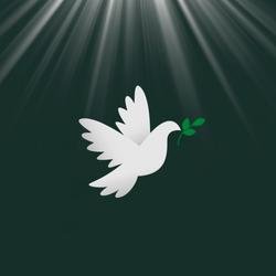 🕊️