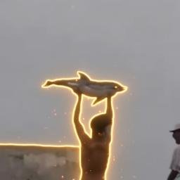 DOLPHIN