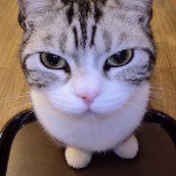 达福