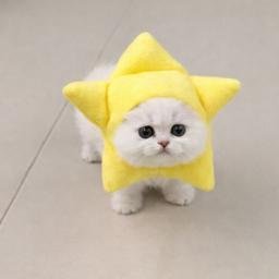 TGCAT