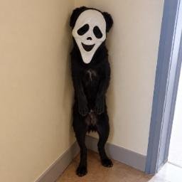 MASK