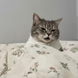 GoonCat