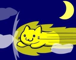 SPEEDYCAT