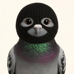 Pigeon