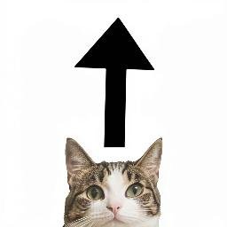 UPCAT