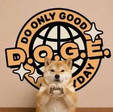 DOGE