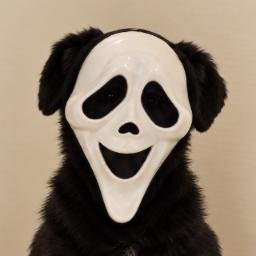 MASK