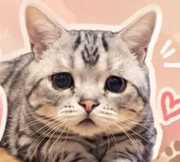 LULU