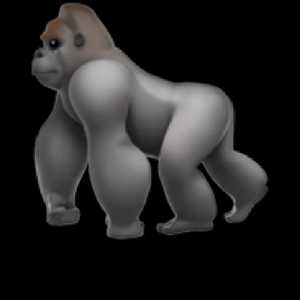 🦍