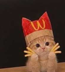 McKitten