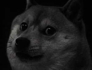 Doge