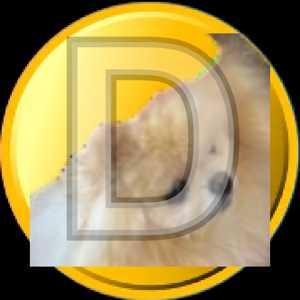 dogina