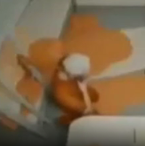 Epstein DID kill himself logo