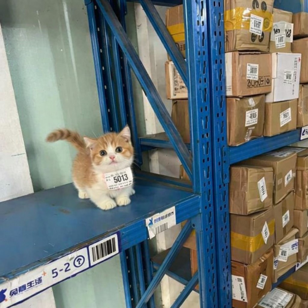 STOCK