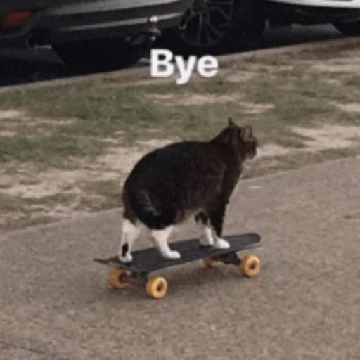 bye