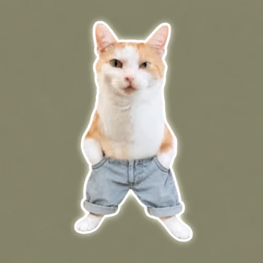 chillcatguy