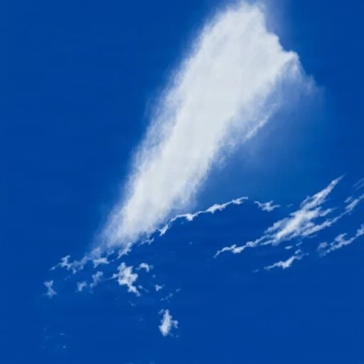 SI