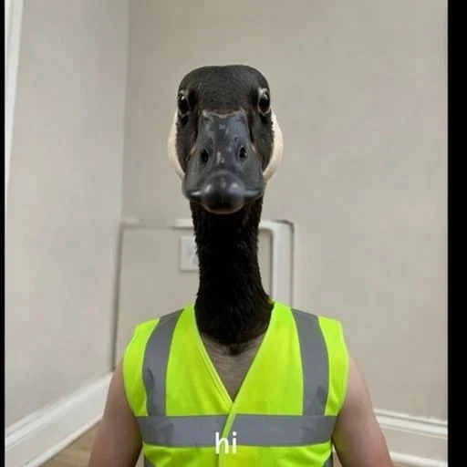 GARY