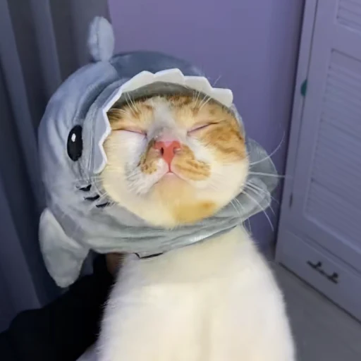 Pablo