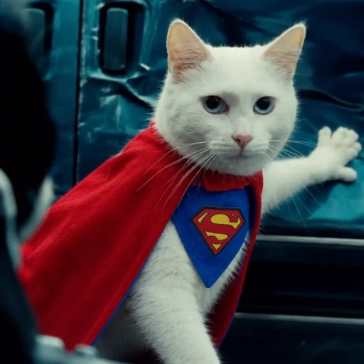 supercat