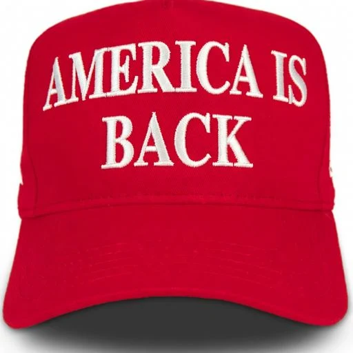 AMERICA IS BACK logo