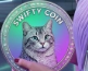 SWIFTY COIN