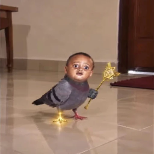PGL