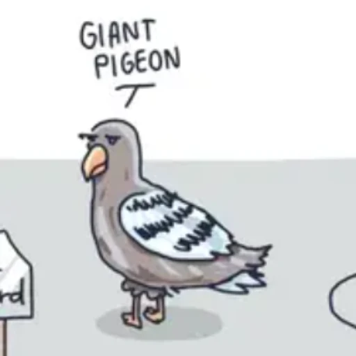 PIGEON