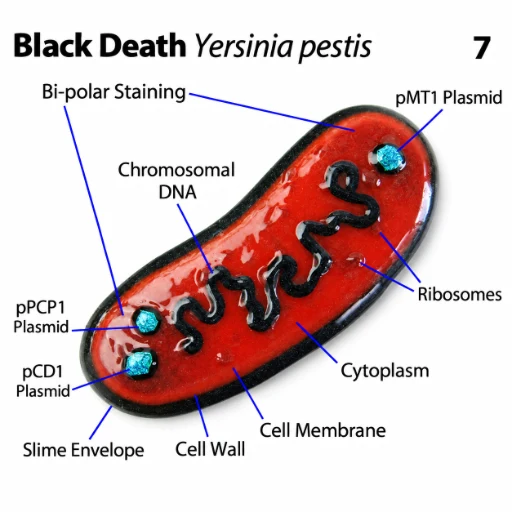 PLAGUE