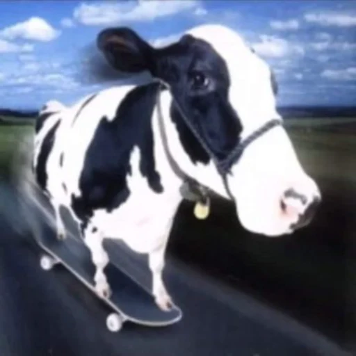 Mootion